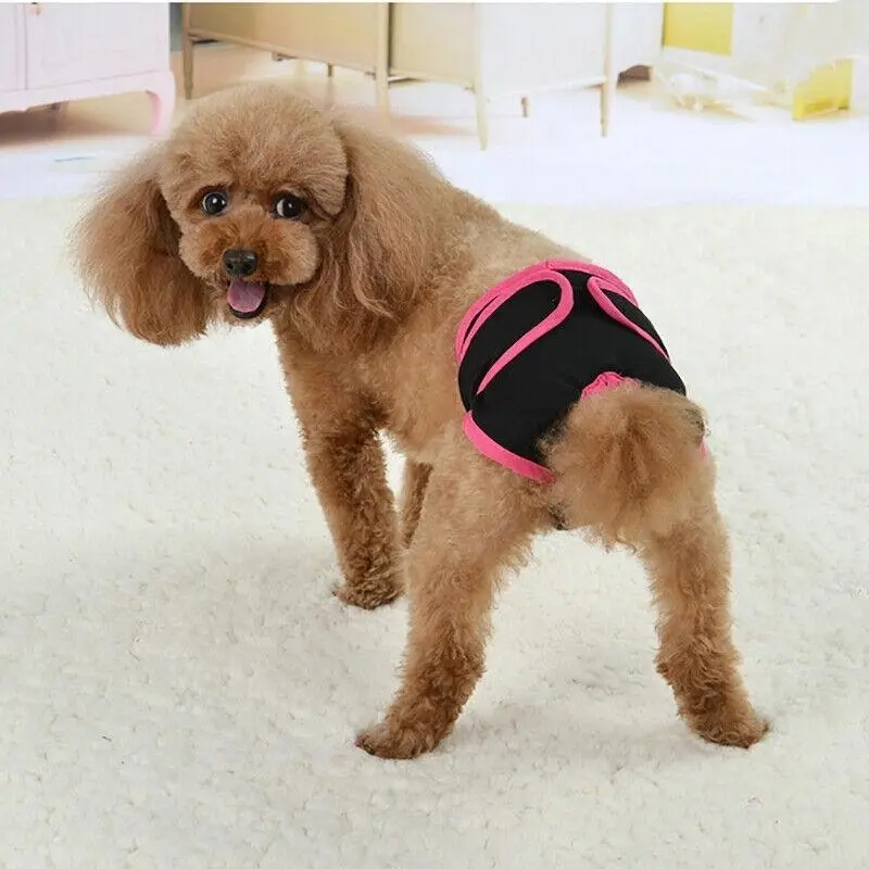 Xs-Xl Dog Pet Female Nappy Diapers Shorts Season Sanitary Pants Undiesunderpants