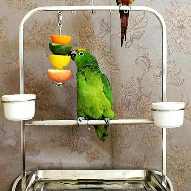 Pet Stainless Steel Bird Parrot Cage Skewer Food Meat Stick Spear Fruit Holder