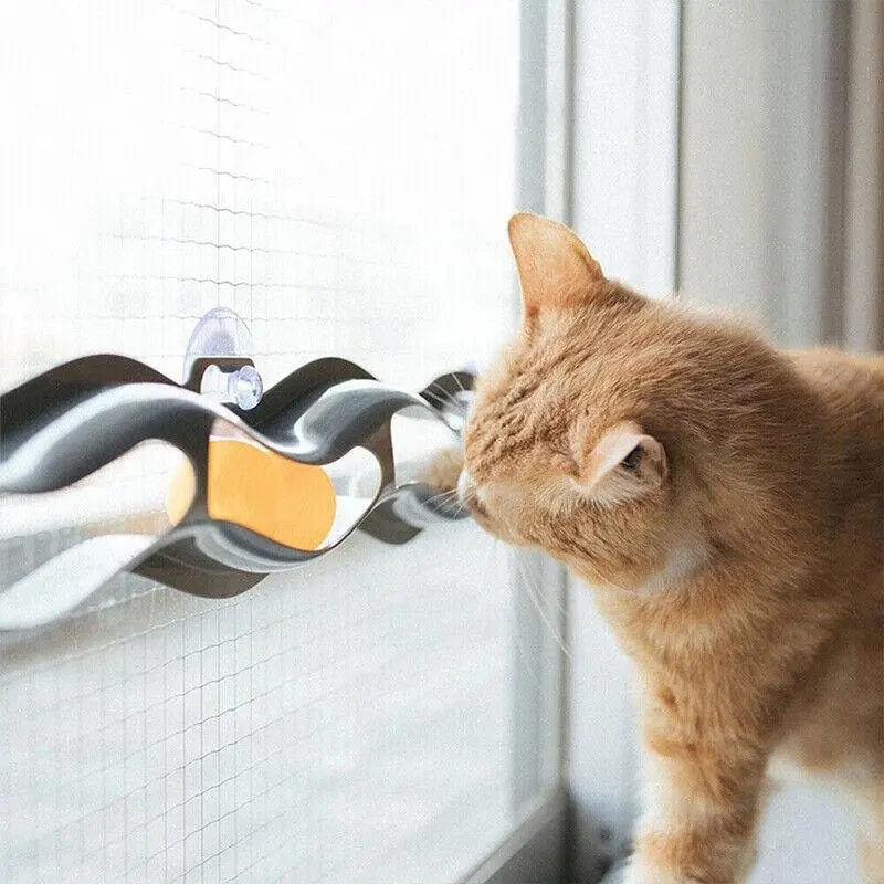 Window Suction Cup Funny Cat Toys Track Bal Cat Pet Toy Interactive Track Ball