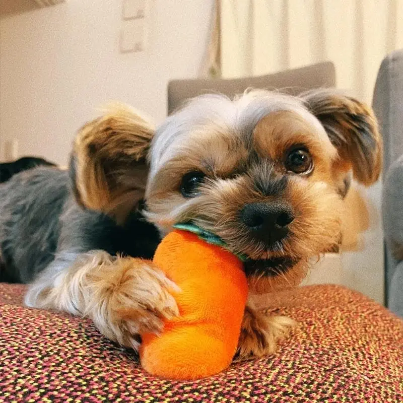 Carrots Plush Dog Toy Encourage Natural Foraging Skill Durable Interactives Dog