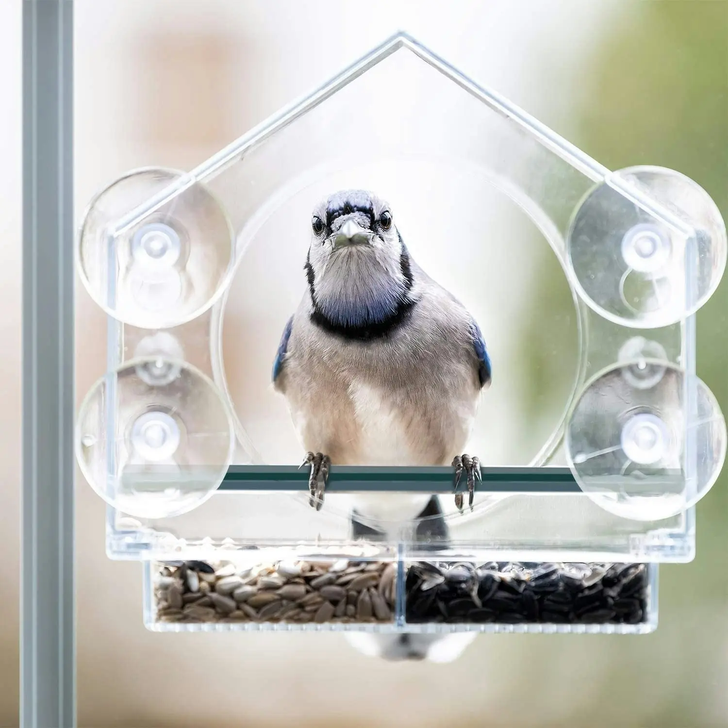 Large Window Bird Feeder Strong Suction Cups Superior Design Lifetime Guarantee