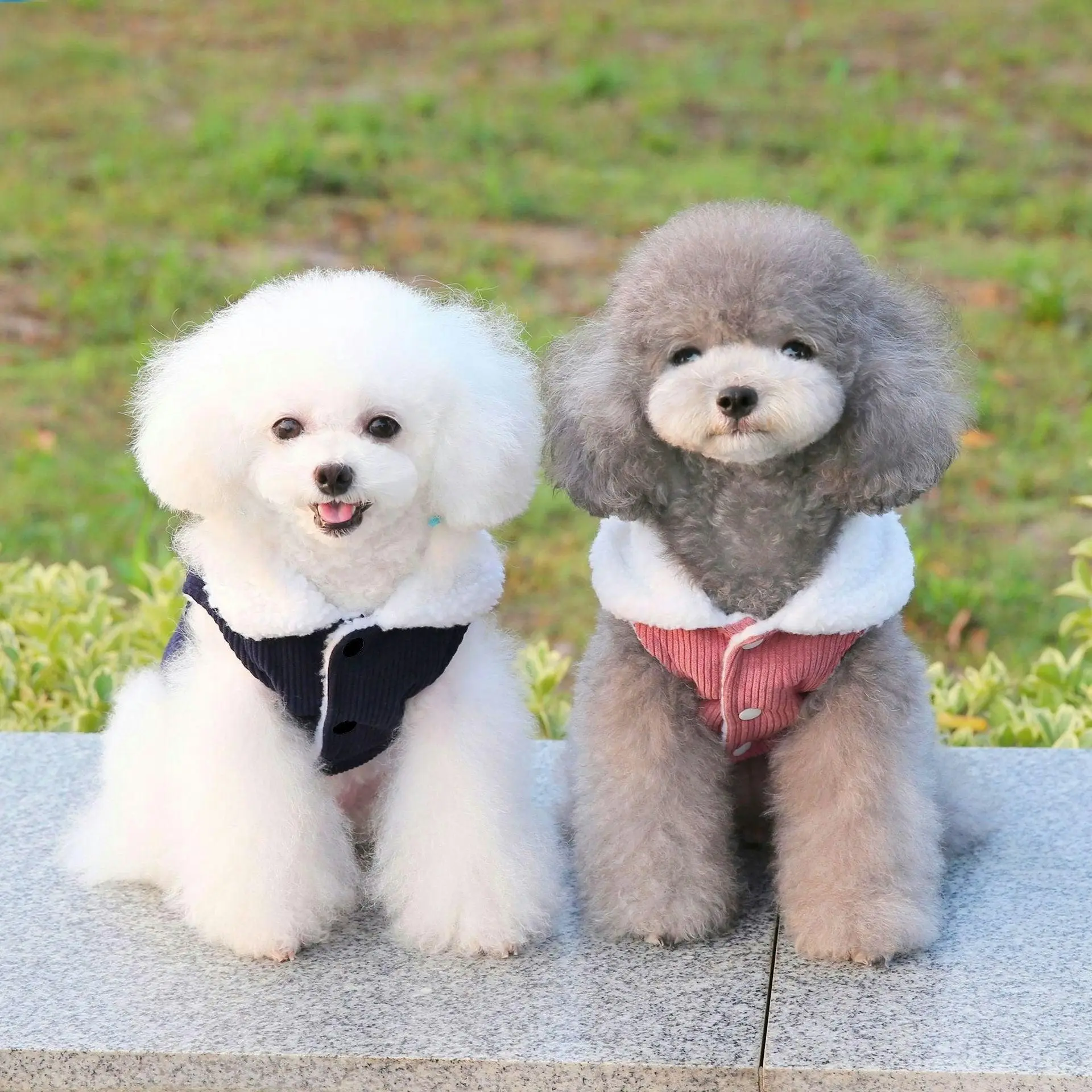 Pet Dog Clothes Jackets Warm Jumper Windproof Puppy Winter Coat Clothes Clothing Watermelon Red