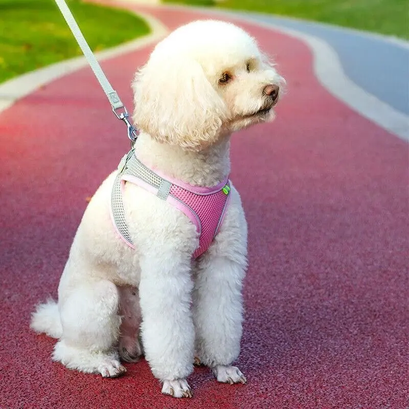 Pet Dog Harness Adjustable Reflective Breathable Outdoor Collars Strap Cat Leash Pink