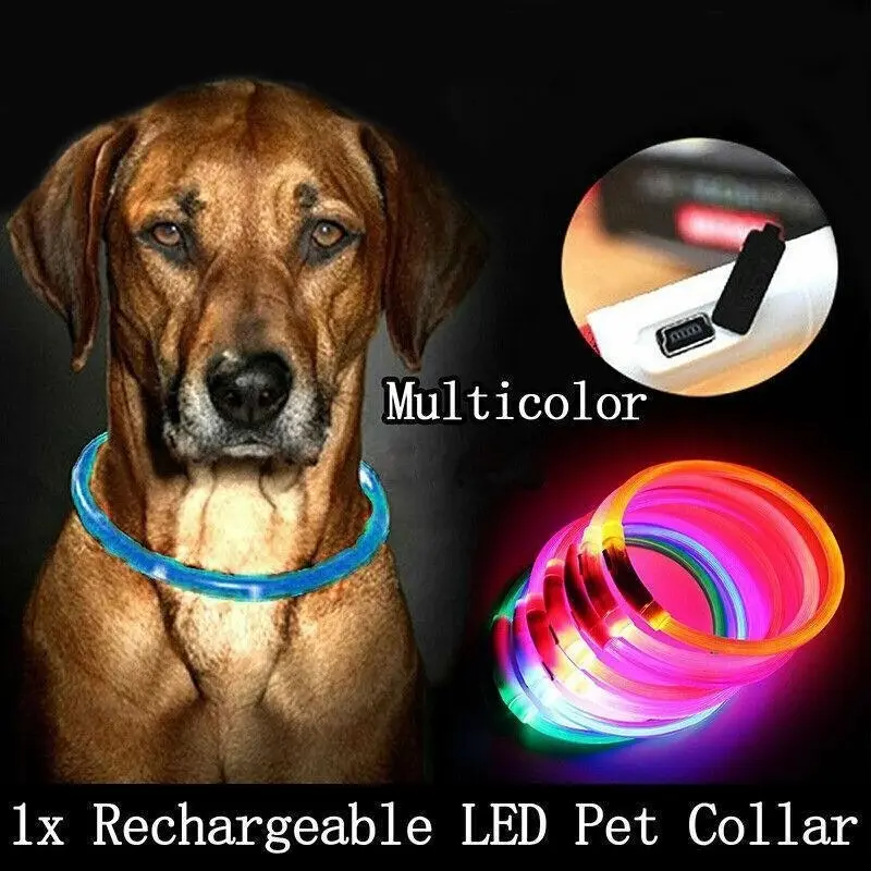 USB Rechargeable LED Dog Collar Night Glow Flashing Light Up Safety Pet Collars M Size