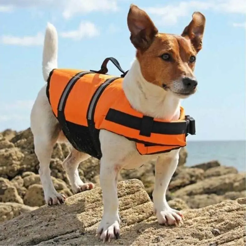 Dog Life Jacket Pet Safety Vest Swimming Boating Float Aid Buoyancy Lifesaver Red