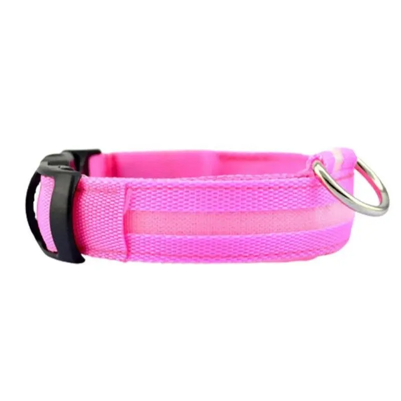 M Size USB Rechargeable LED Dog Collar Nylon Glow Flashing Light Up Safety