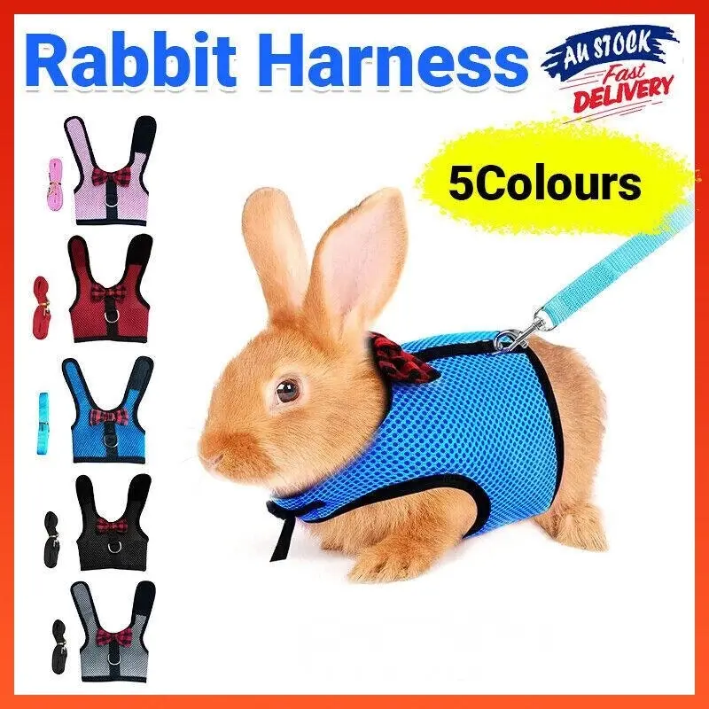 Rabbit Vest Harness Leash Lead Small Animal Pet Mesh Hamster Bunny Traction Rope M