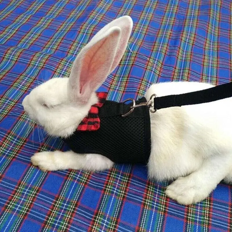 Rabbit Vest Harness Leash Lead Small Animal Pet Mesh Hamster Bunny Traction Rope M