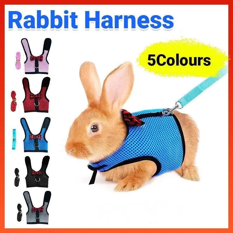 Rabbit Vest Harness Leash Lead Small Animal Pet Mesh Hamster Bunny Traction Rope M