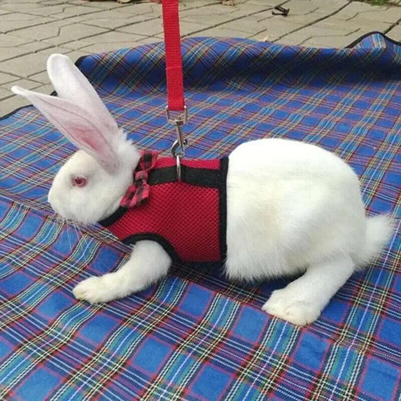 Rabbit Vest Harness Leash Lead Small Animal Pet Mesh Hamster Bunny Traction Rope M