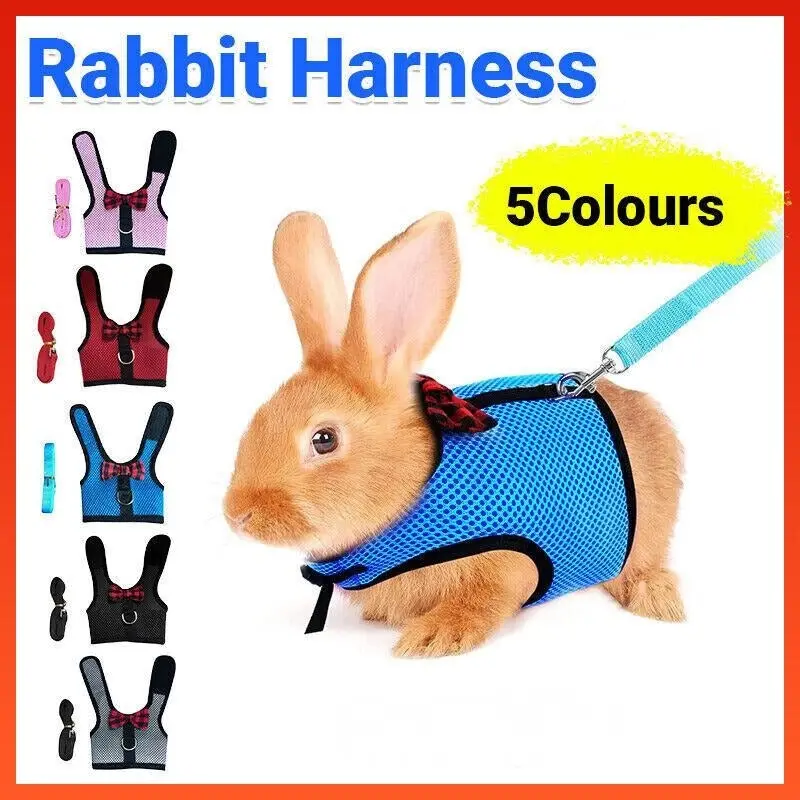 Rabbit Vest Harness Leash Lead Small Animal Pet Mesh Hamster Bunny Traction Rope M