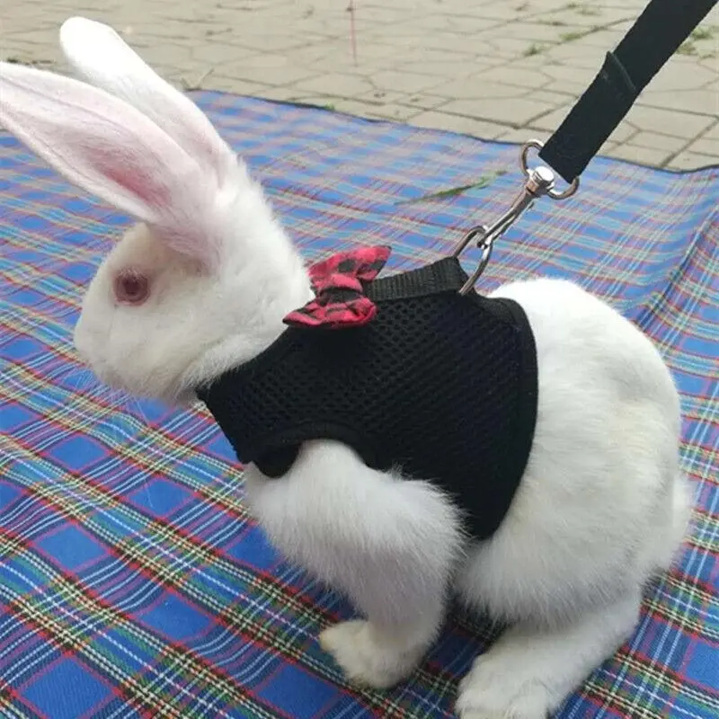 Rabbit Vest Harness Leash Lead Small Animal Pet Mesh Hamster Bunny Traction Rope L