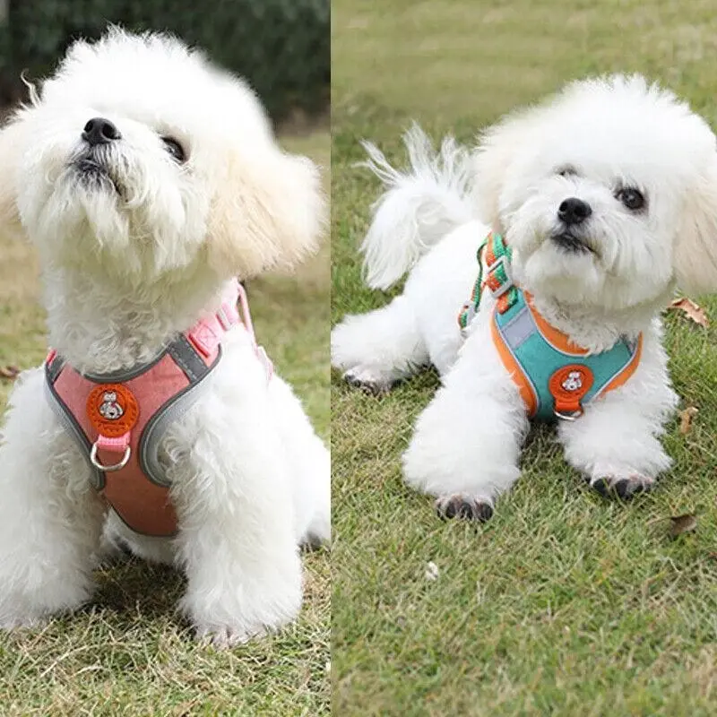 Dog Harness Cat Lead Puppy Leash VEST Mesh Breathe Adjustable Braces Small Pet Orange