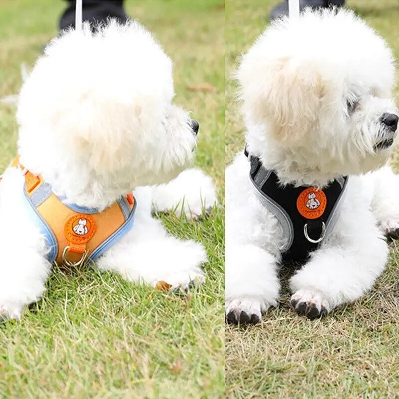 Dog Harness Cat Lead Puppy Leash VEST Mesh Breathe Adjustable Braces Small Pet Orange