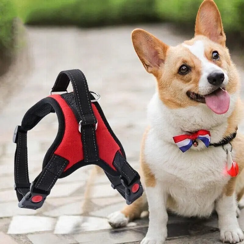 M Size No-pull Dog Harness Pet Puppy Large Dog Vest Adjustable Padded Handle