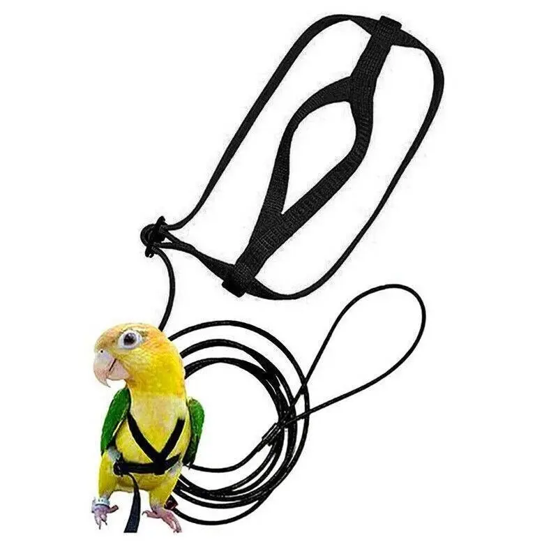 S Pet Parrot Bird Harness Lead Leash Flying Training Rope Cockatiel Outdoor