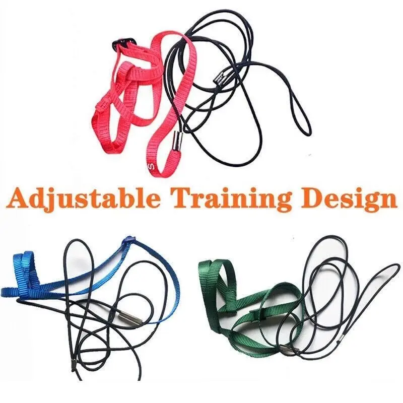 S Pet Parrot Bird Harness Lead Leash Flying Training Rope Cockatiel Outdoor