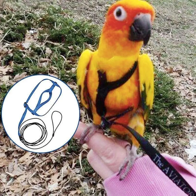 S Pet Parrot Bird Harness Lead Leash Flying Training Rope Cockatiel Outdoor