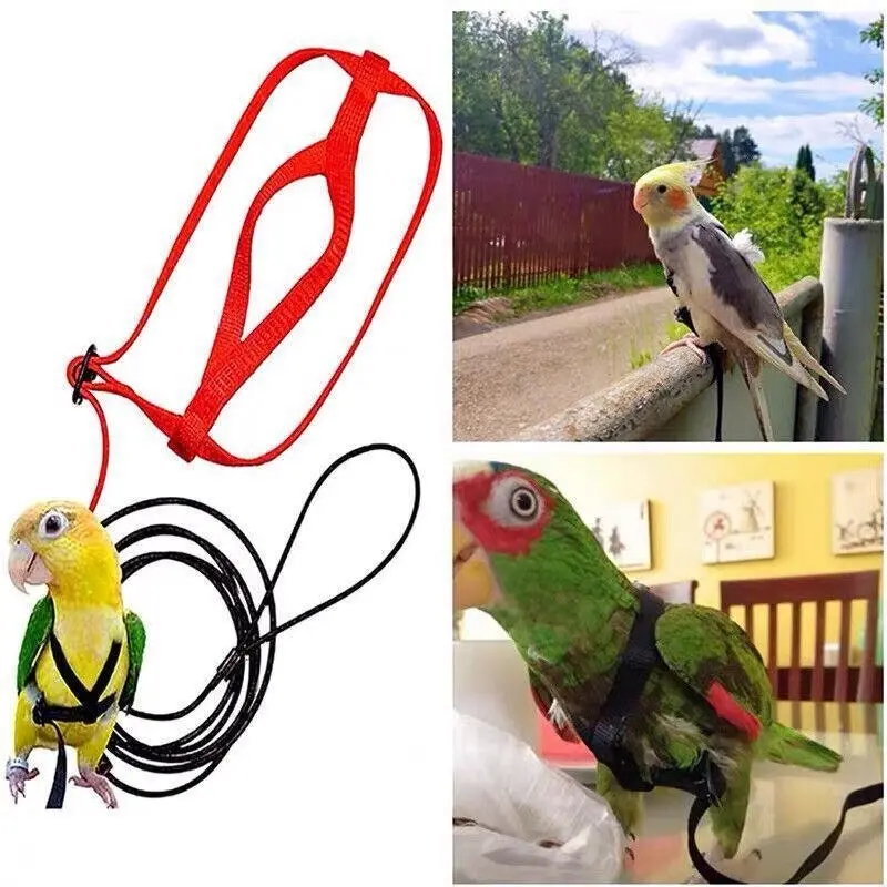 S Pet Parrot Bird Harness Lead Leash Flying Training Rope Cockatiel Outdoor