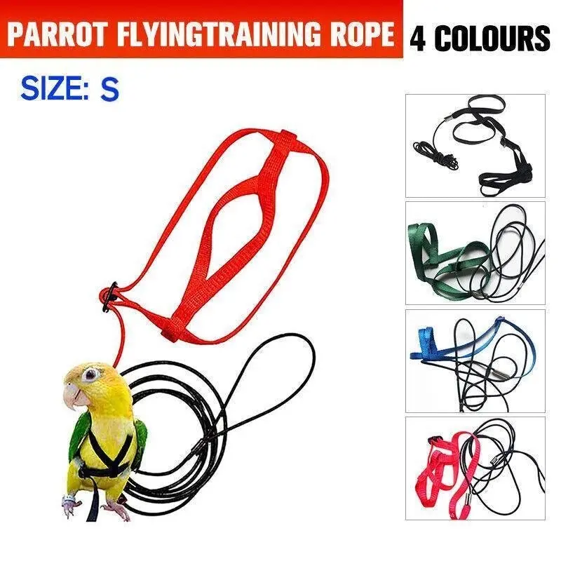 S Pet Parrot Bird Harness Lead Leash Flying Training Rope Cockatiel Outdoor