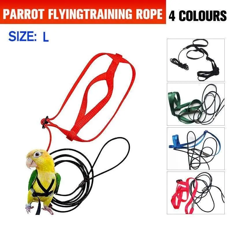 L Pet Parrot Bird Harness Lead Leash Flying Training Rope Cockatiel Outdoor