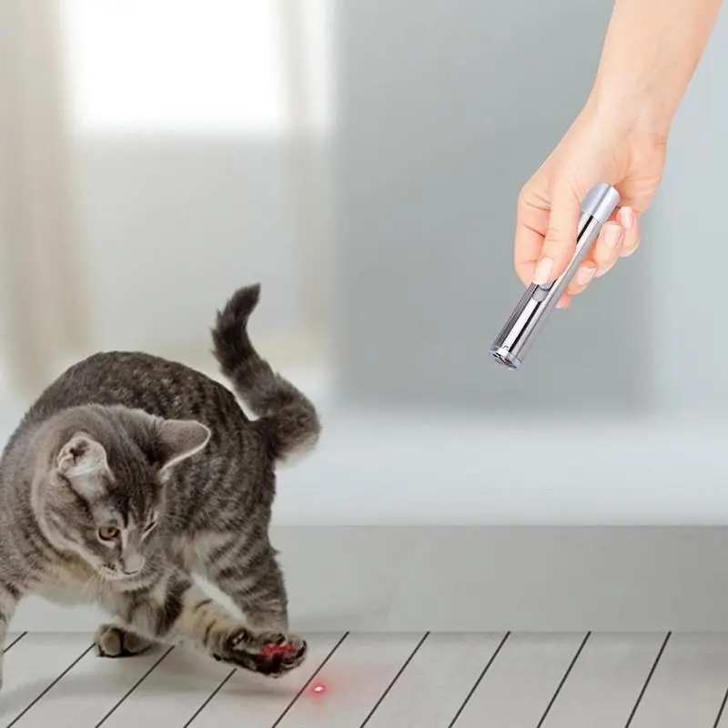 3 in 1 Multi Function Premium Cat Toy Laser Pointer USB Charging LED Torch Light