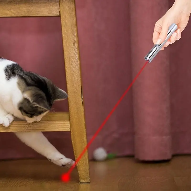 3 in 1 Multi Function Premium Cat Toy Laser Pointer USB Charging LED Torch Light