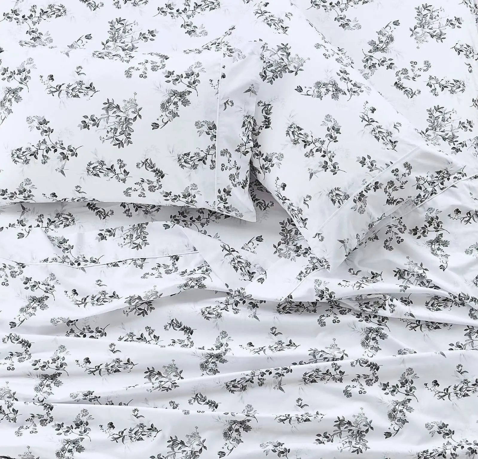 Schele Printed Sheet Set