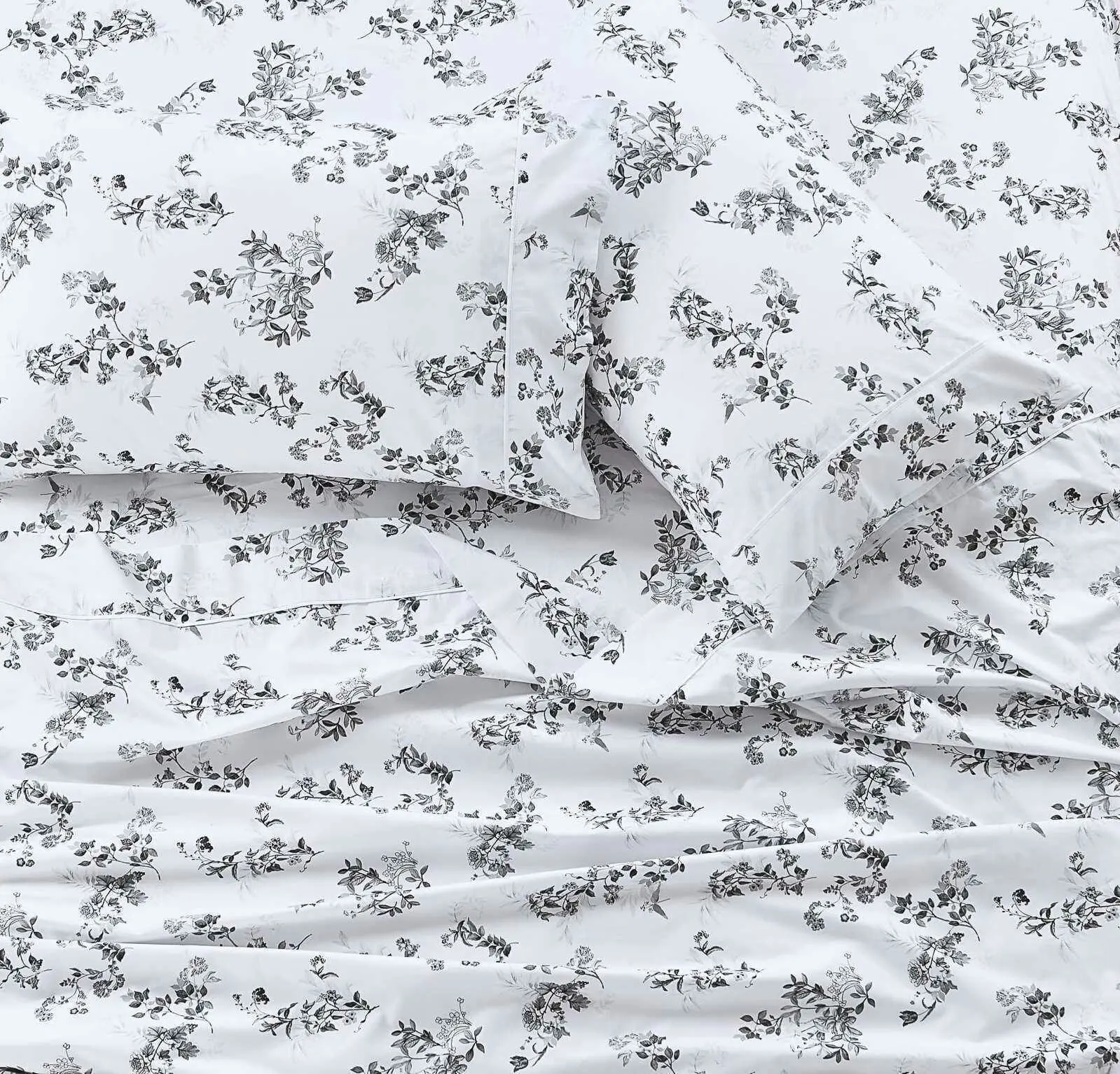 Schele Printed Sheet Set