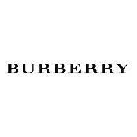 Burberry Mr Burberry EDP 100ml