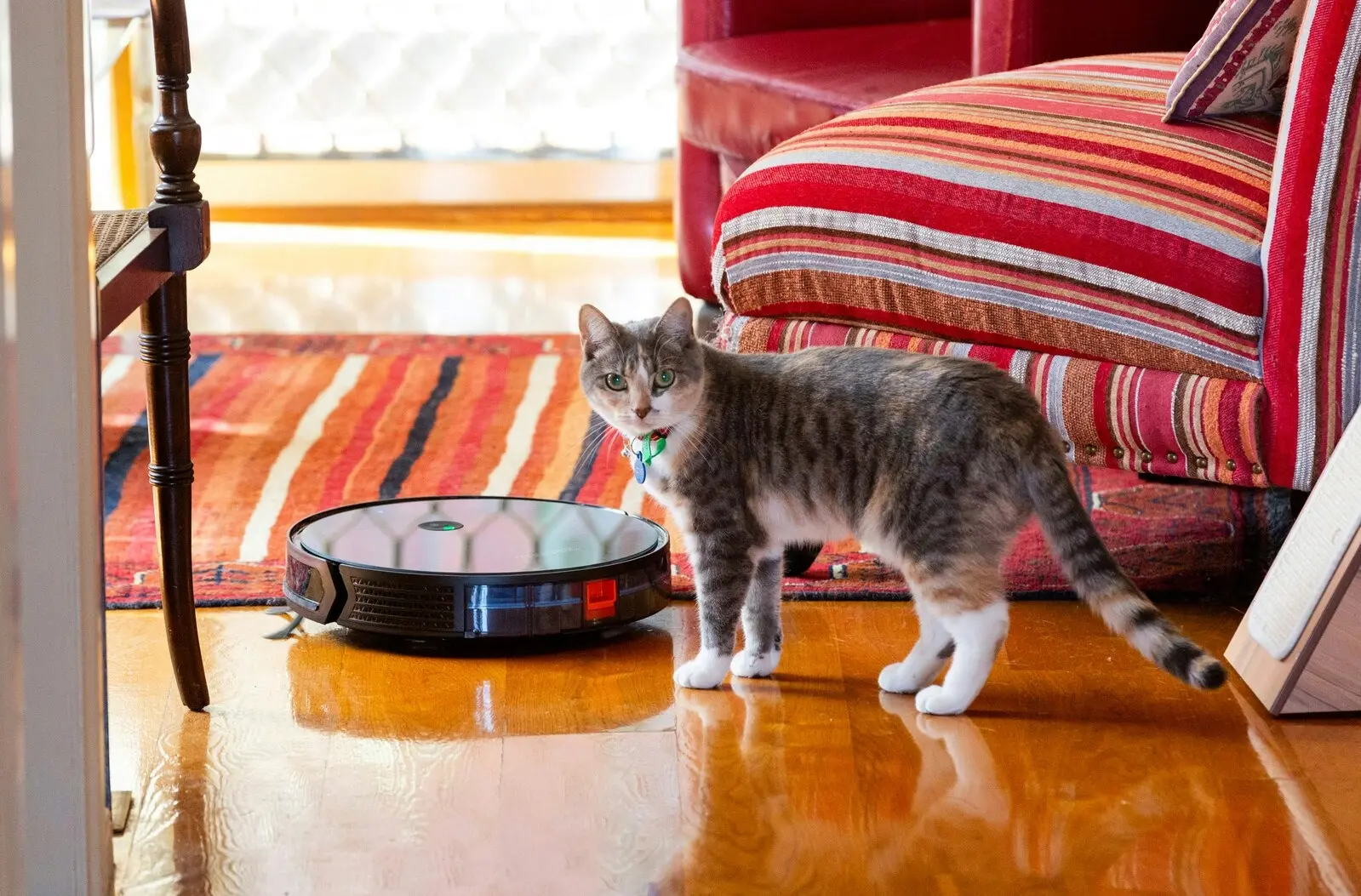 magivaac Smart Robot Vacuum & Mop with Pet Brush