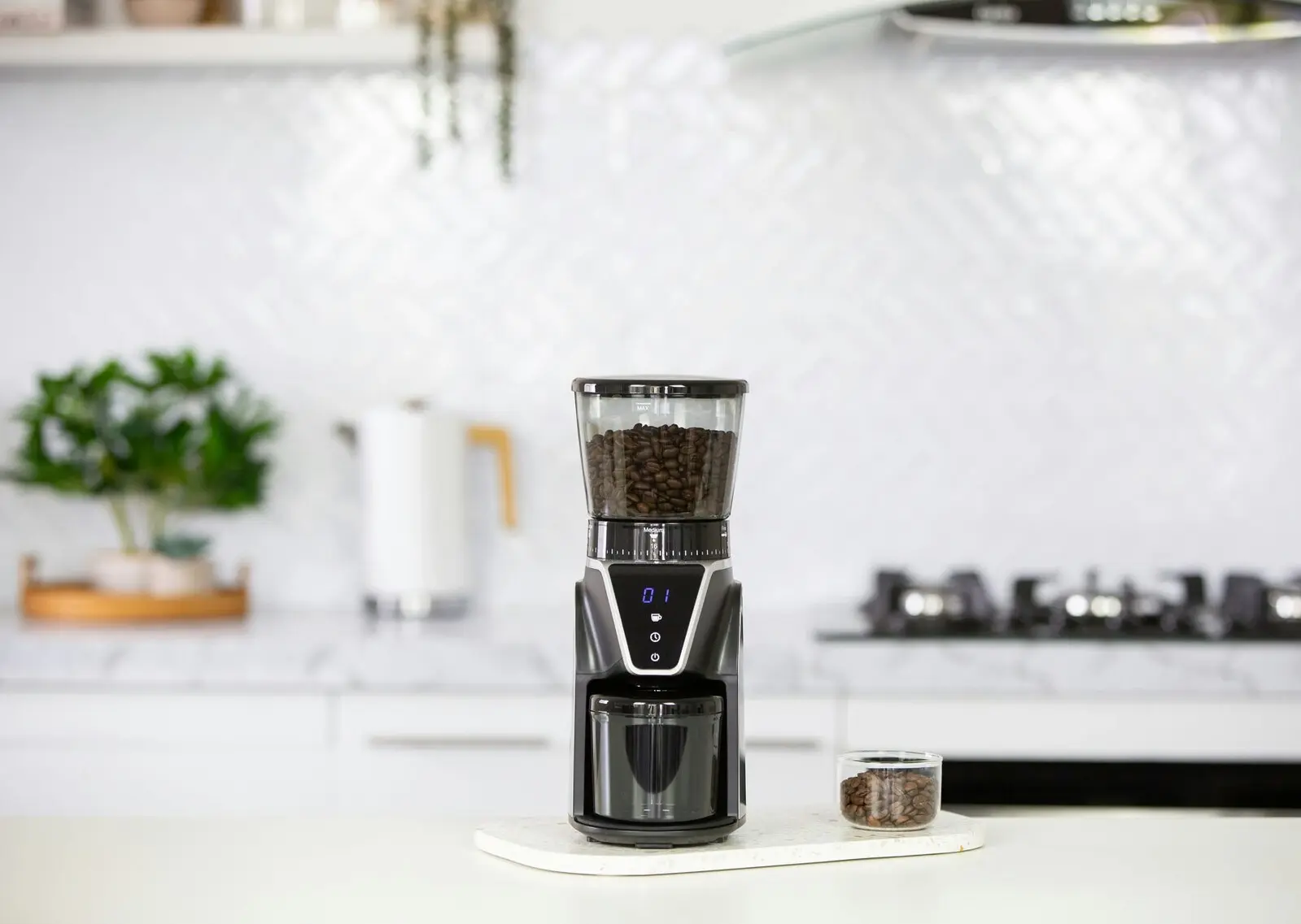 Electric Burr Coffee Bean Grinder/ 10 Cups/ 31 Grind Settings