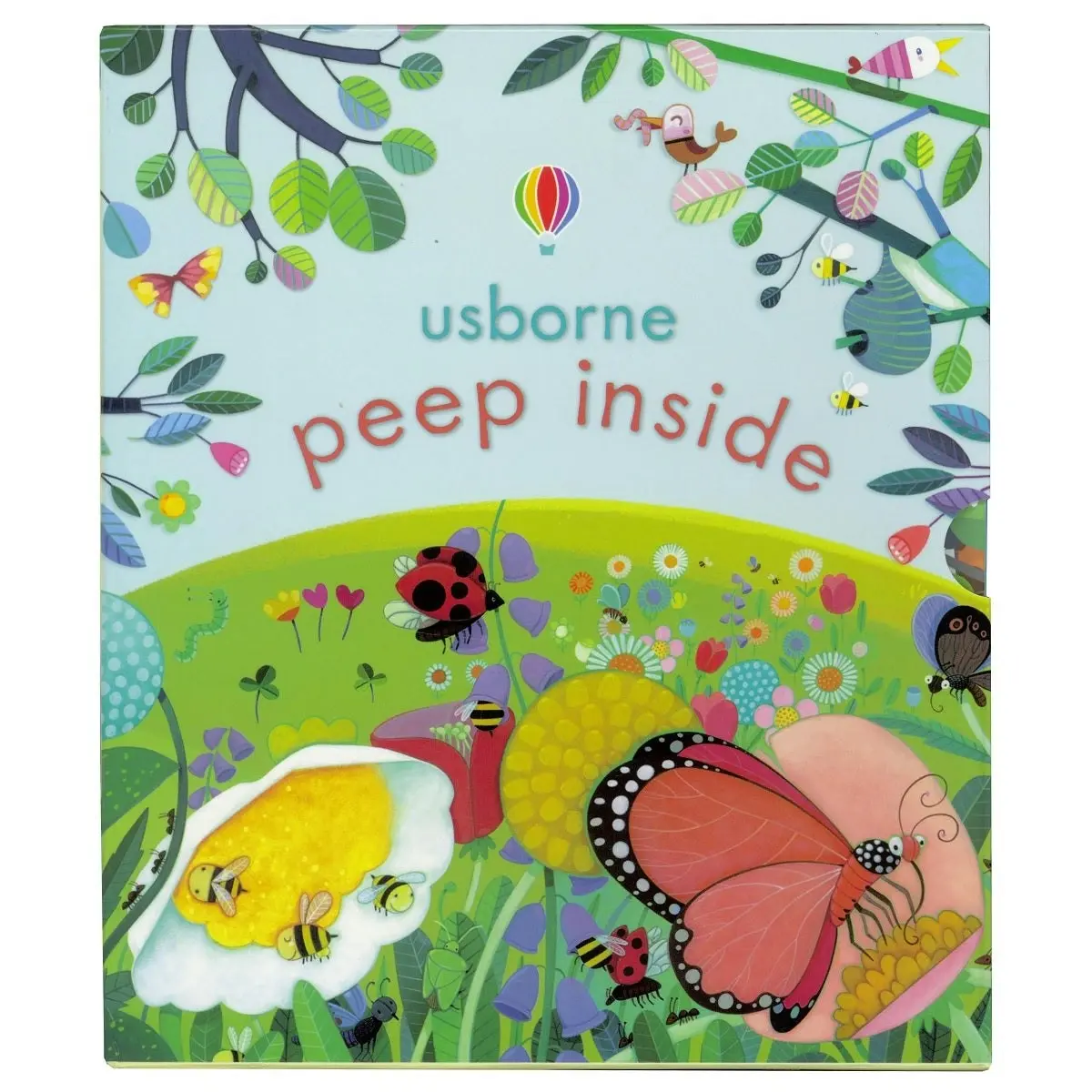 Usborne Peep Inside