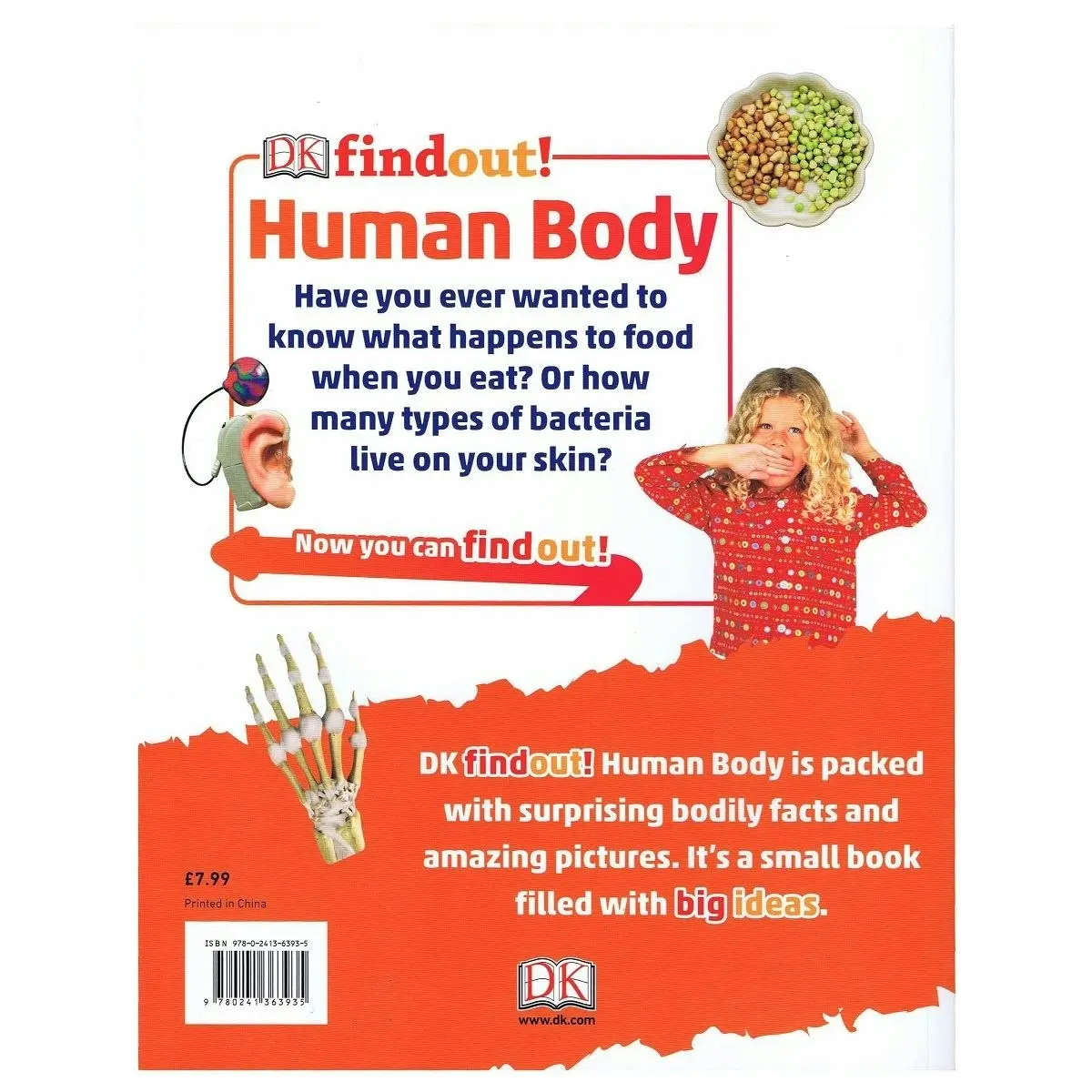 Promotional Dk Findout! Human Body