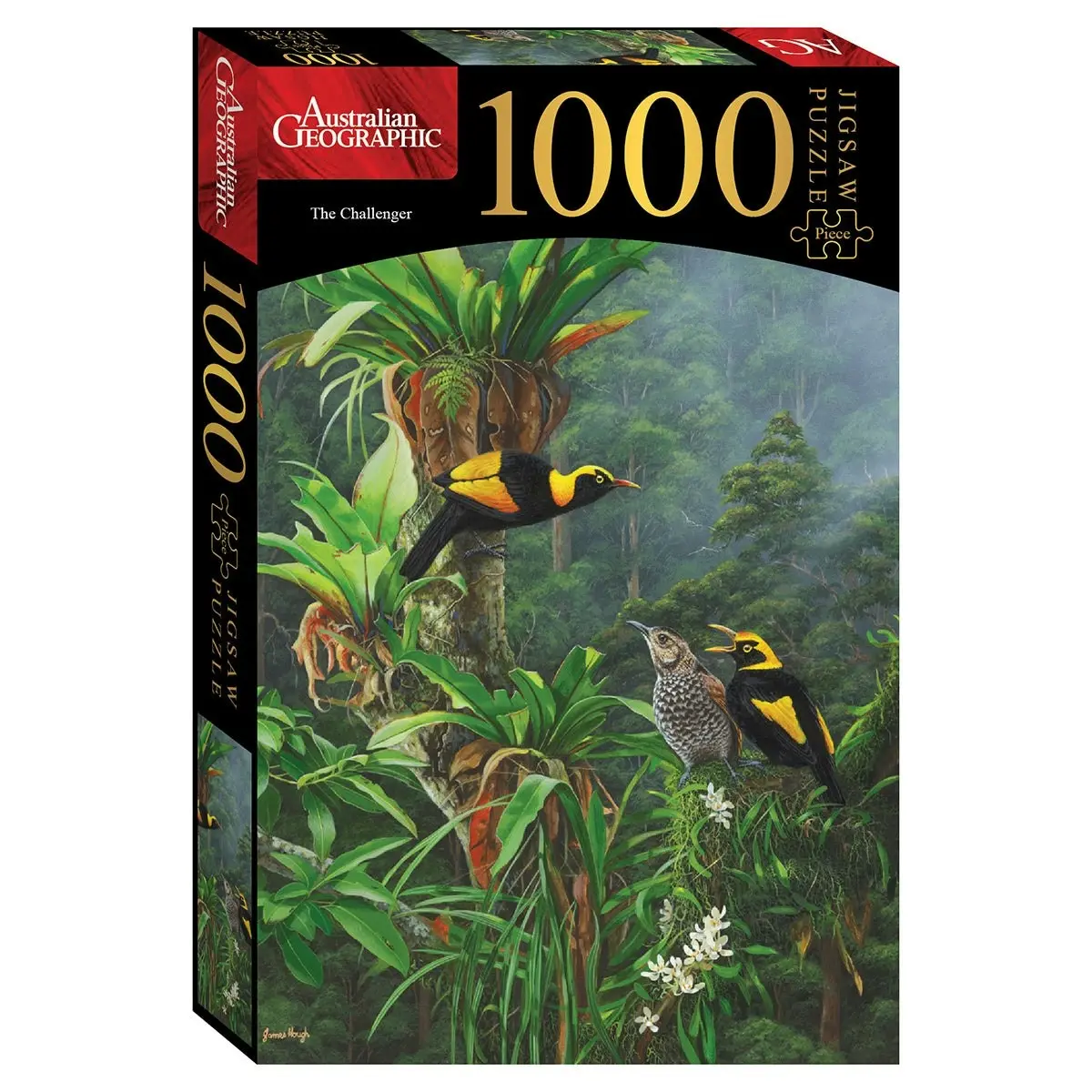 Puzzle Master The Challenger 1000 Piece Puzzle