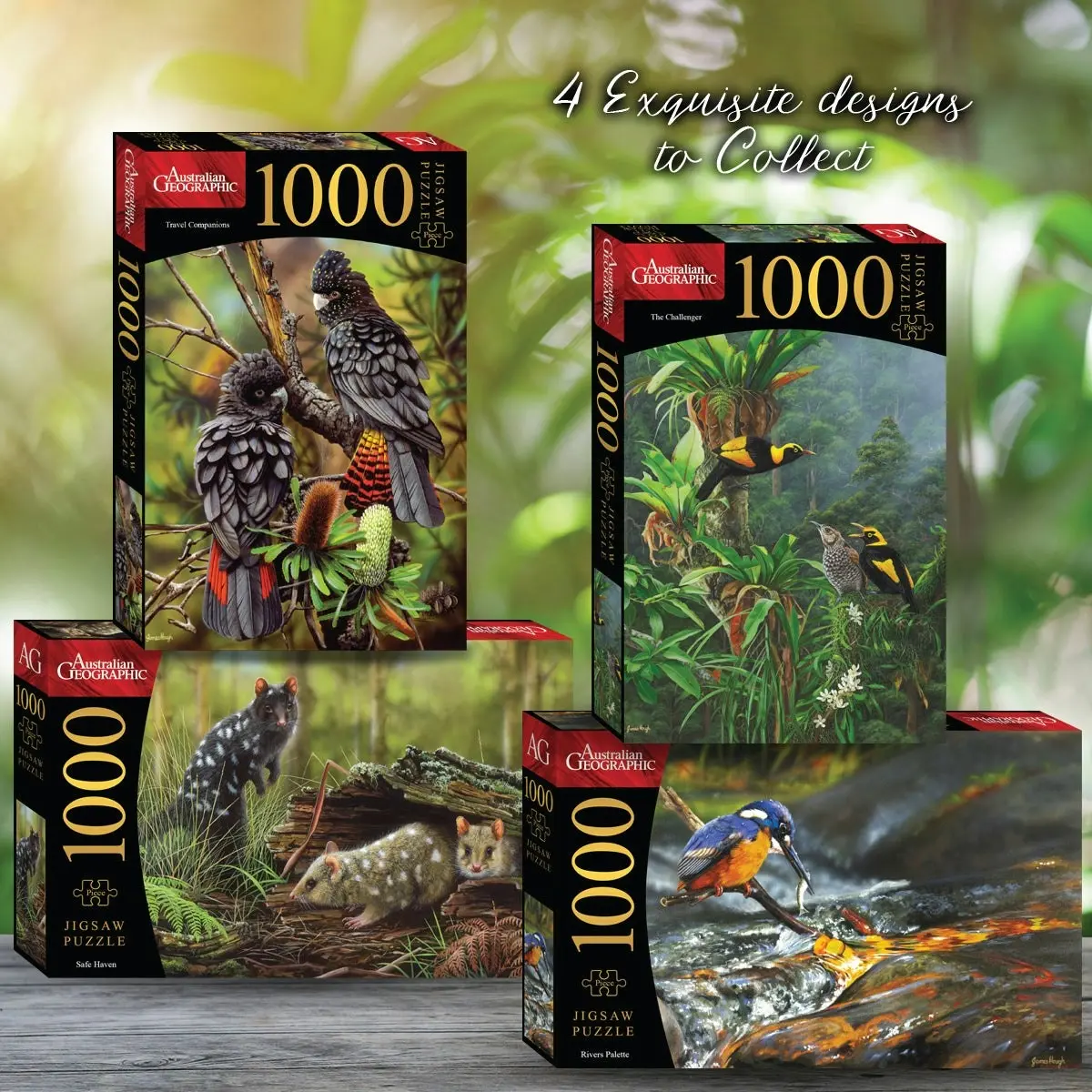 Puzzle Master The Challenger 1000 Piece Puzzle