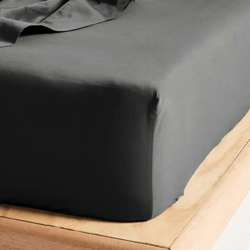 Linen House Augusta 500TC Magnet King Flat Sheet