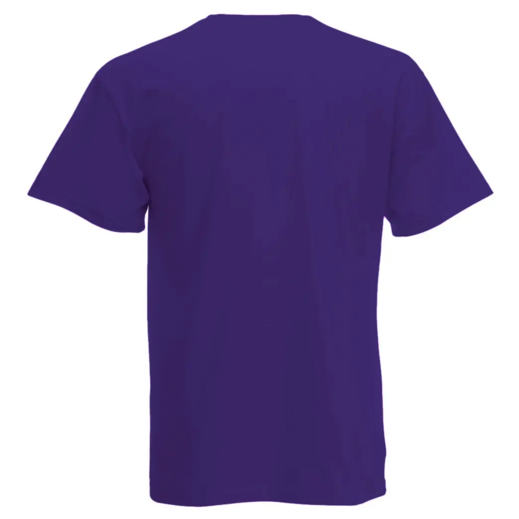 Mens Short Sleeve Casual T-Shirt