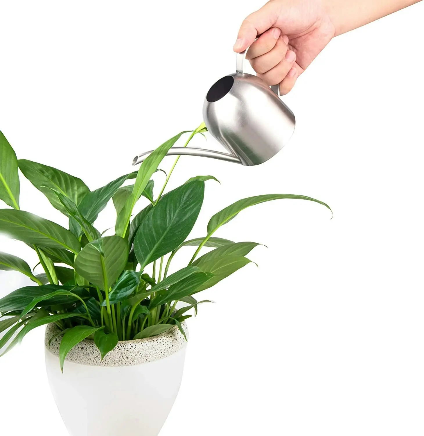 Stainless Steel Watering Can,  (450ml)