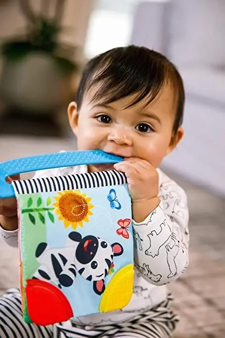 Baby Einstein Curious Explorers Teether Book