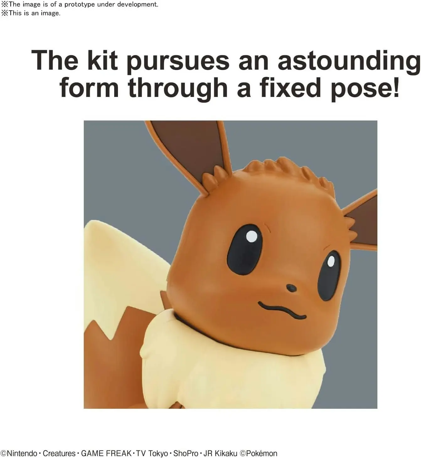 Pokemon Model Kit Eevee Quick!! 04