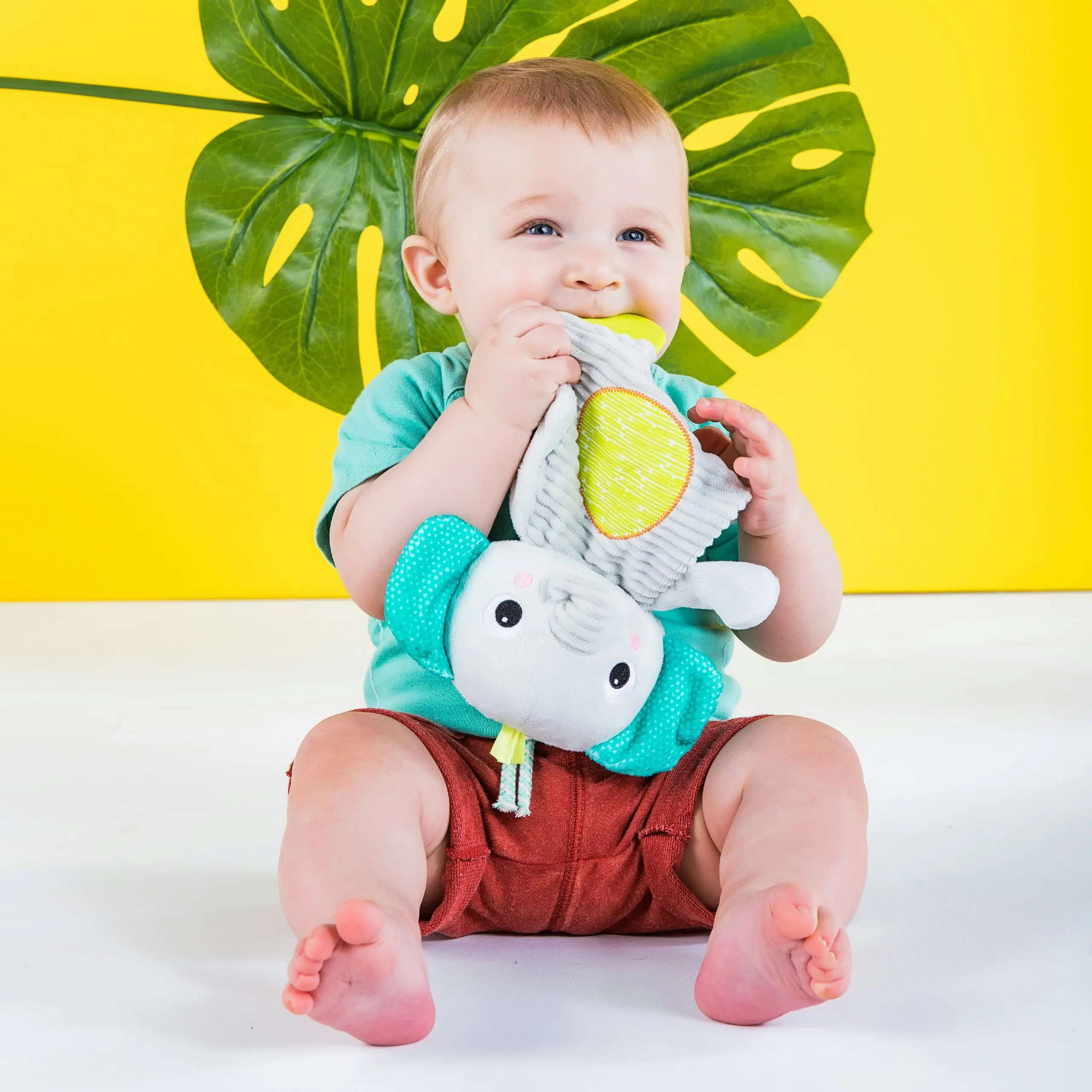 Bright Starts Snuggle and Teethe Plush Teether - Elephant