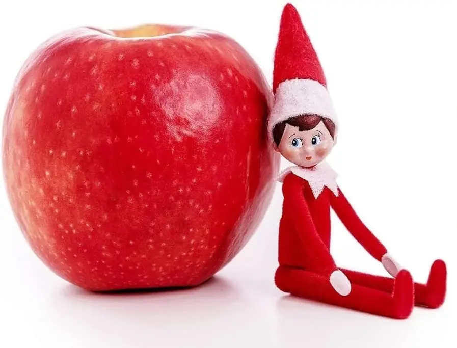 World's Smallest The Elf on the Shelf