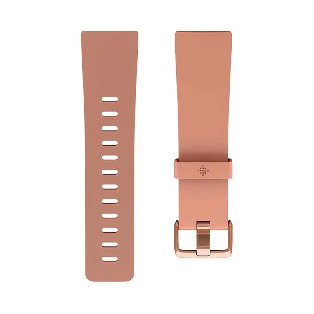 Fitbit Classic Band for Fitbit Versa Large