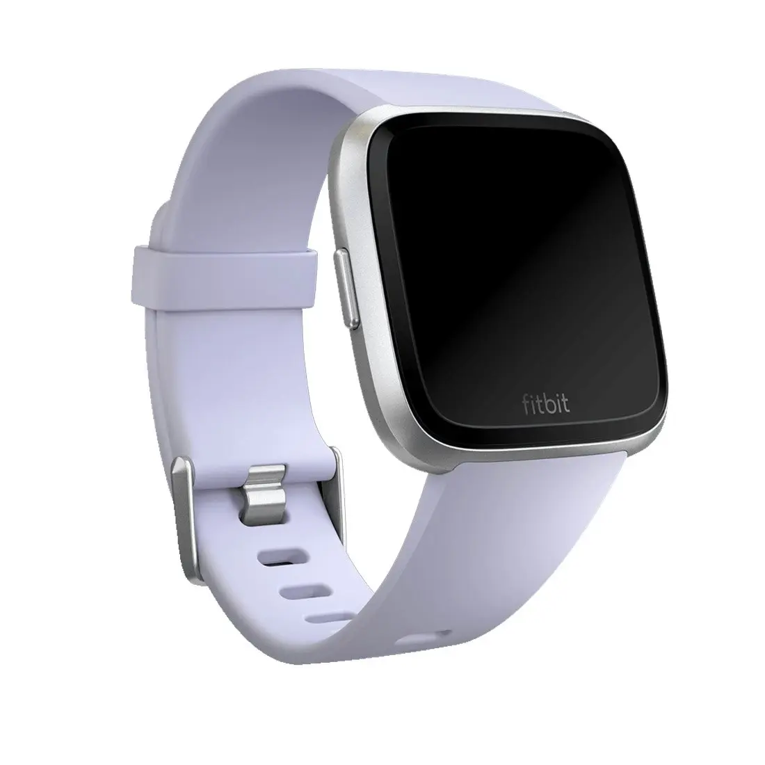 Fitbit Classic Band for Fitbit Versa Large