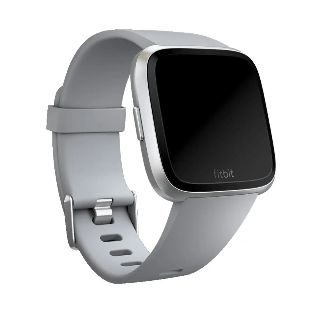 Fitbit Classic Band for Fitbit Versa Large