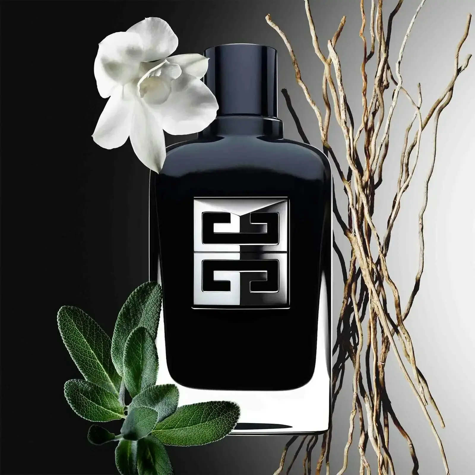 Givenchy Gentleman Society EDP 100ml