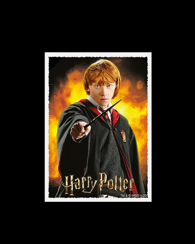 Sleeves - Dragon Shield - Box 100 - MATTE Art - WizardingWorld Ron Weasley