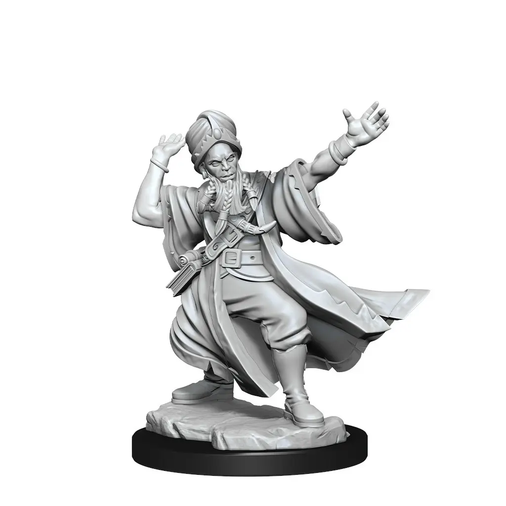 D&D Frameworks Human Wizard Male