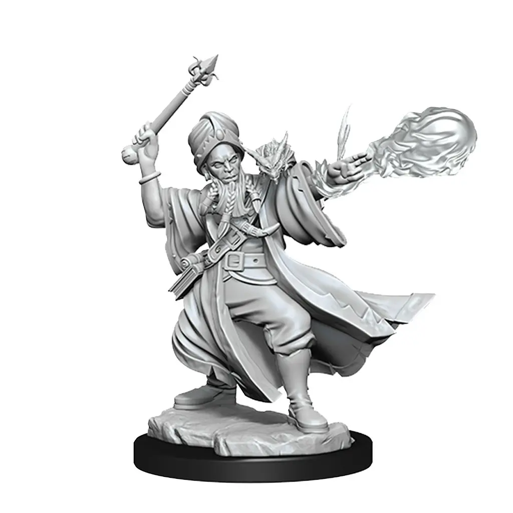 D&D Frameworks Human Wizard Male